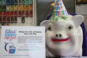 Orville, the pig.JPG